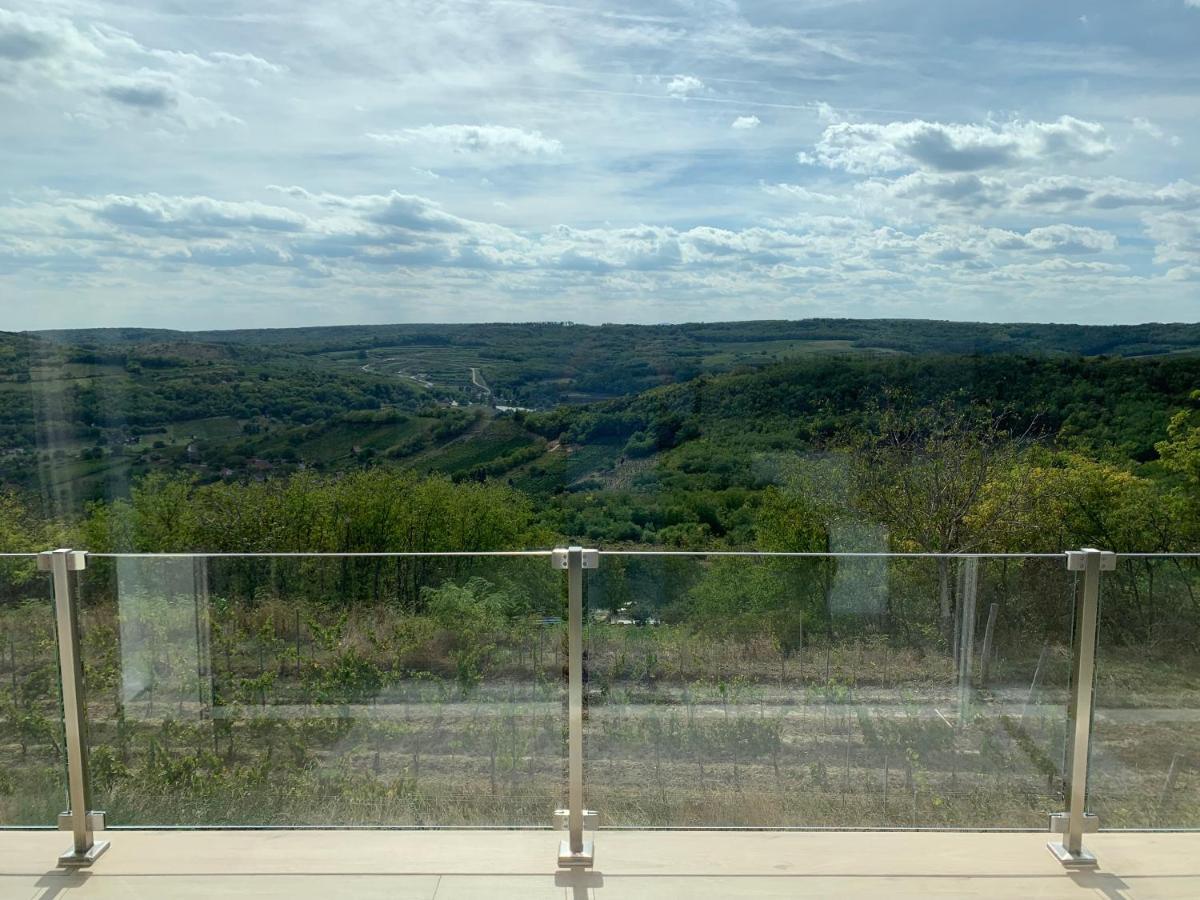 Sxrd Luxus Apartmanok Szekszárd المظهر الخارجي الصورة